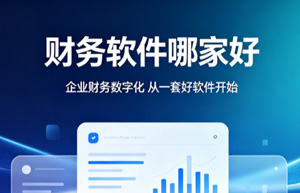 财务软件代理商推荐｜上海电商连锁门店财务代理哪家专业？金蝶服务商上海云舜