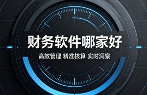 预算有限怎么选财务软件？中小企业主的实用省钱攻略