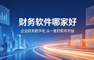 SaaS还是本地部署？财务软件选型最大的纠结，一次说清