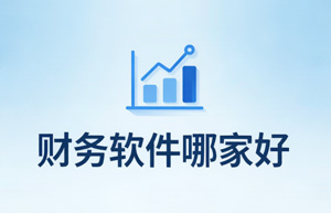 上海企业选财务软件别瞎找，用过的老板都认准上海云舜