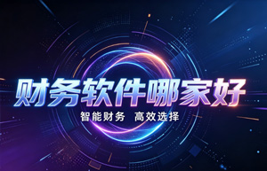 深耕本土财税服务，上海云舜打造企业智能财务管理新范式
