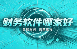 避开选型误区，上海企业财务软件优先选哪家