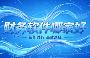 告别低效财税管理，上海云舜财务软件赋能企业降本增效