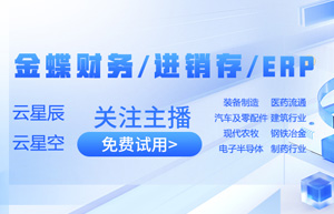 超越软件本身：上海云舜信息技术有限公司，您的金蝶系统“终身顾问